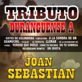 Joan Sebastian - Tatuajes